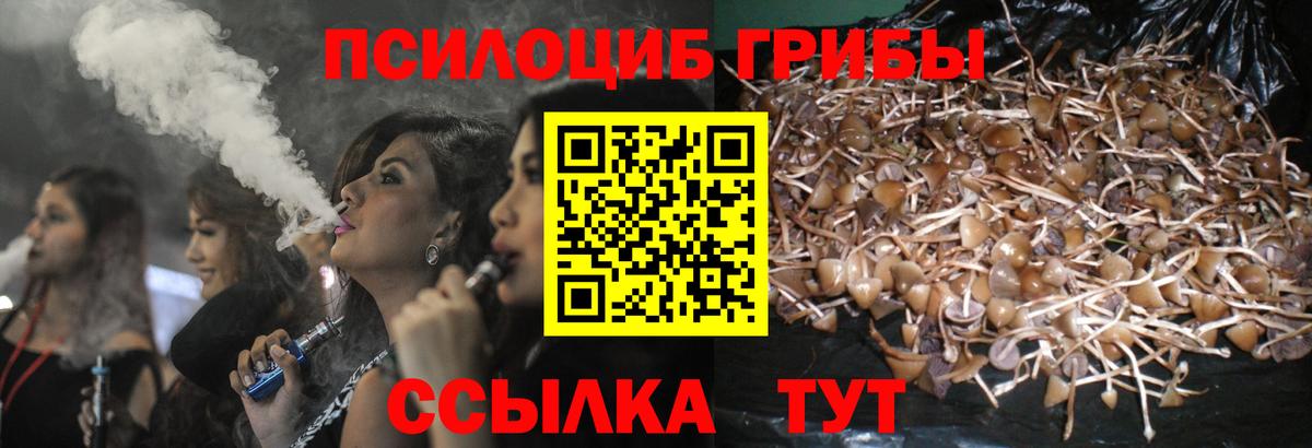 Галлюциногенные грибы Psilocybine cubensis  Вход с VPN  Чернушка 